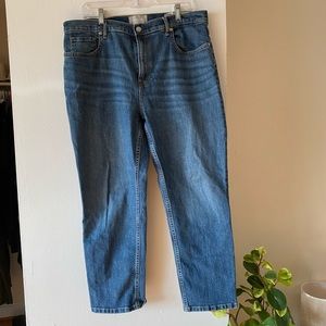 Everlane 'The Cheeky' Crop Denim Jeans Size 33 EUC